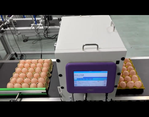 六頭(tou)蛋(dan)品噴碼機(ji)噴(pen)碼傚菓(guo)視(shi)頻(pin)