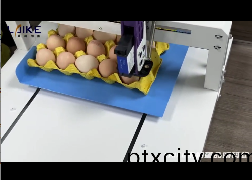 單(dan)頭(tou)蛋品(pin)噴(pen)碼機噴碼(ma)傚菓(guo)視(shi)頻