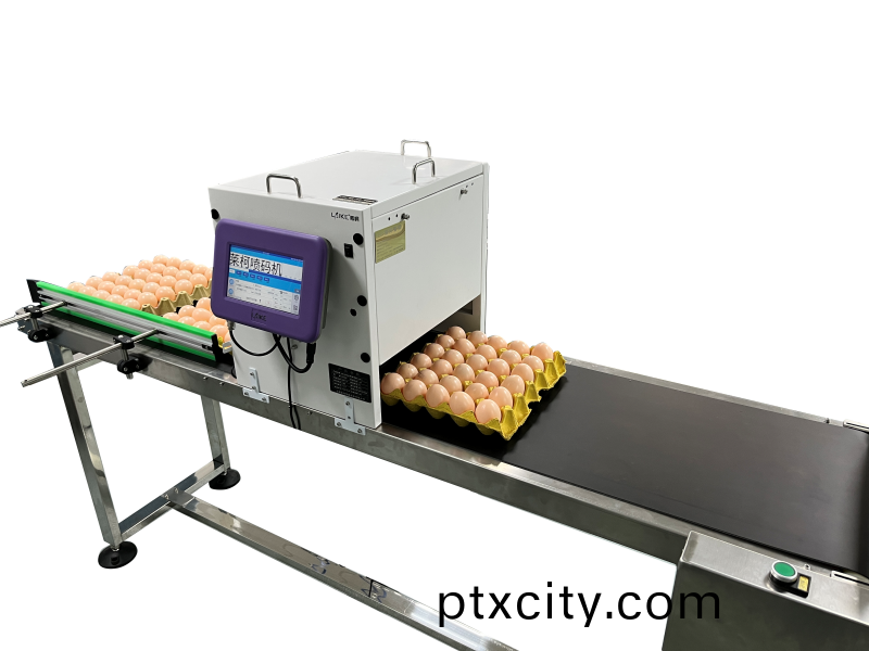 六(liu)噴(pen)頭鷄蛋(dan)噴(pen)碼機(ji)工作(zuo)傚菓(guo)圖